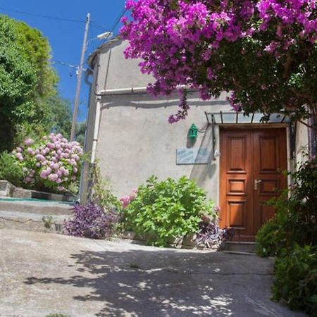 Maison Simonpietri Cagnano Buitenkant foto