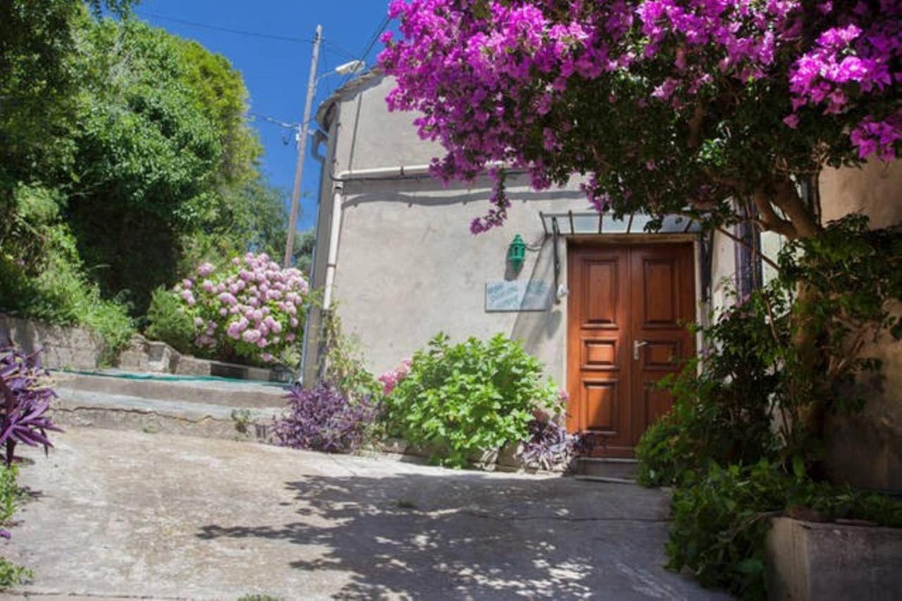 Maison Simonpietri Cagnano Buitenkant foto